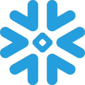 Snowflakes Virtechion